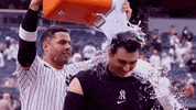 Happy New York GIF by YES Network