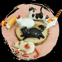 Pawpaw_studio pawpawstudio GIF