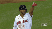 Regular Season Sport GIF by MLB