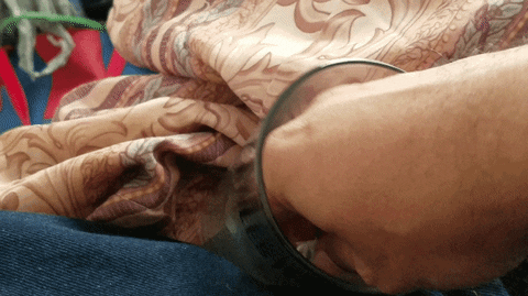 TheApocalypse giphyupload GIF