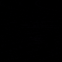 birredelducato birrificio ducato birre del ducato birrificio del ducato GIF