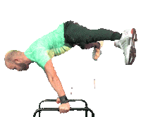 Hendrivermeer beast calisthenics streetworkout planche Sticker