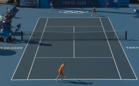GIF by hokejkv