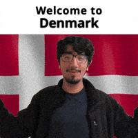 Dk Denmark GIF