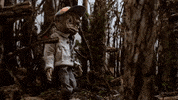 dylanreitz animation radio forest stop motion GIF