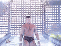 randy orton wrestling GIF by WWE