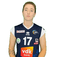 Volleyball Sticker by vdk Gent Damesvolley