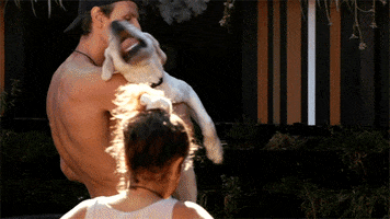Big Brother Love GIF by Channel 7