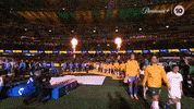 Sport Walk Out GIF by Football Australia