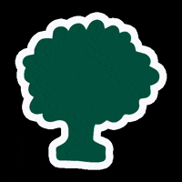 helixsleep tree birch GIF