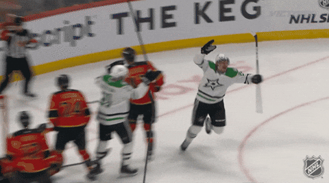 Happy Dallas Stars GIF by NHL