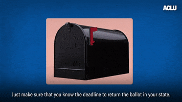 Voting Election 2020 GIF by ACLU