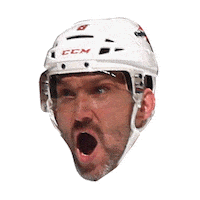National Hockey League Sticker by NHL