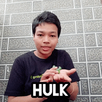 Hulk Smash GIF
