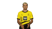 Borussia Dortmund Applause Sticker by Bundesliga