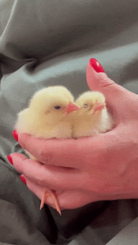 Baby Sleeping GIF