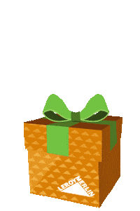 Party Birthday Sticker by Leroy Merlin