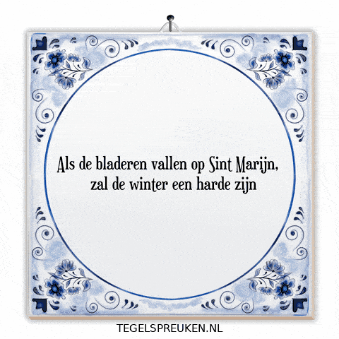 Winter Humor GIF by Tegelspreuken.nl