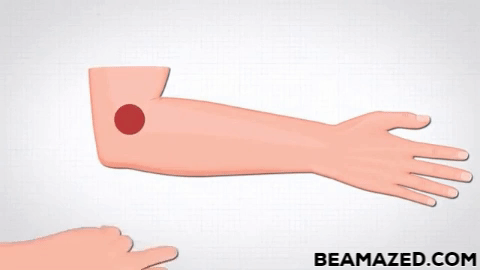pressure point intestine GIF
