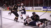 hockey fall GIF by Greenville Swamp Rabbits