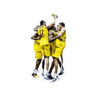 Ewe Baskets Odiase Sticker by EWE Baskets Oldenburg
