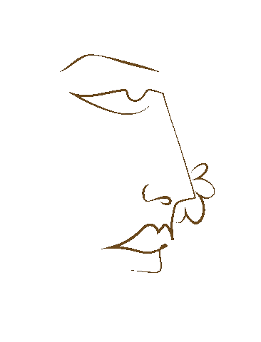 South Indian Fashion Stickers - Find & Share on GIPHY(09)