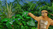 nowness nowness cassius mike d GIF