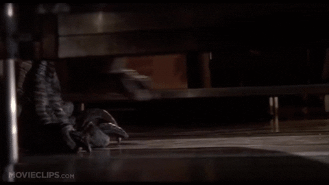 tap GIF