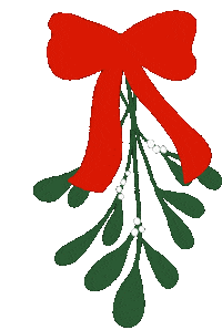 Christmas Noel Sticker