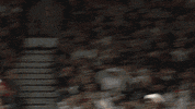 Hands Up Sport GIF by Miami HEAT