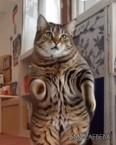 Happy Dance GIF