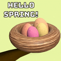 Bird Spring GIF by GT8Studios