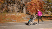 GIF by Mashable