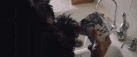 for free GIF by Kendrick Lamar