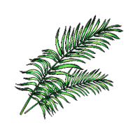 ANTASportsOfficial anta antasports salehexanta antanest Sticker