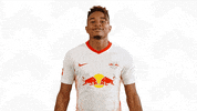 Red Bull Football GIF by RB Leipzig