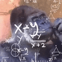 editmedit maymun hesaplama düşünen maymun GIF