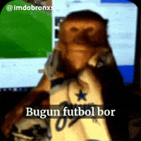 Maymun GIF