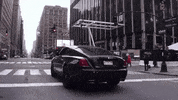 GIF by Winners Circle