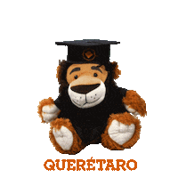 Graduacion Egresado Sticker by Anahuac QRO