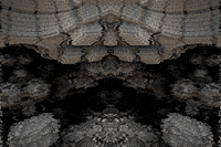 GIF by Leo Pyrata