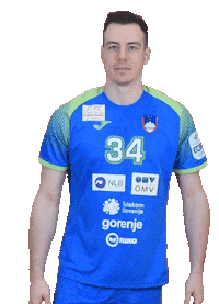 Handball Euro Sticker by Rokometna zveza