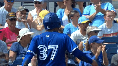 Blue Jays Good Job GIF by Toronto Blue Jays