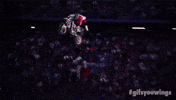 Like A Boss Wow GIF by Red Bull