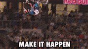 awesome like a boss GIF by Red Bull