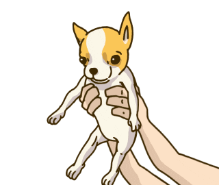 Animation Dog Sticker