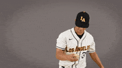 Cal State La Baseball GIF by Cal State LA Golden Eagles