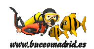 Scuba Diver Sticker by Buceo Madrid