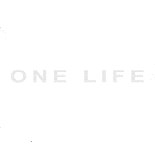 Snowboard Life GIFs Find & Share on GIPHY