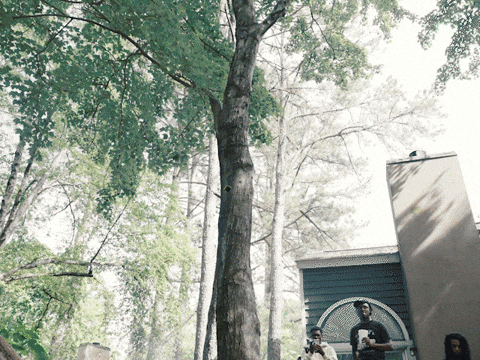 Music Video Money GIF by SLANG